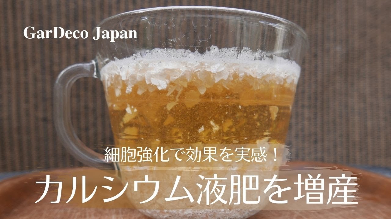 細胞強化で効果を実感！カルシウム液肥を増産