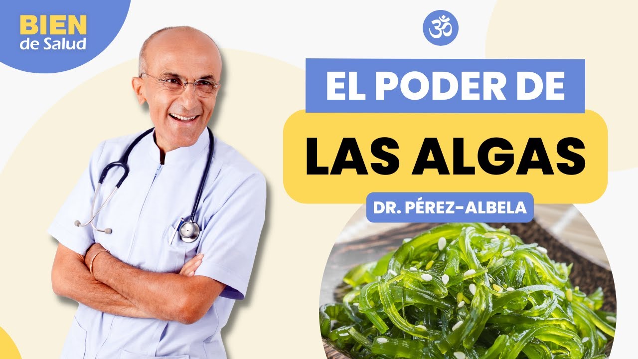 EL PODER DE LAS ALGAS | Beneficios y propiedades de las algas marinas.