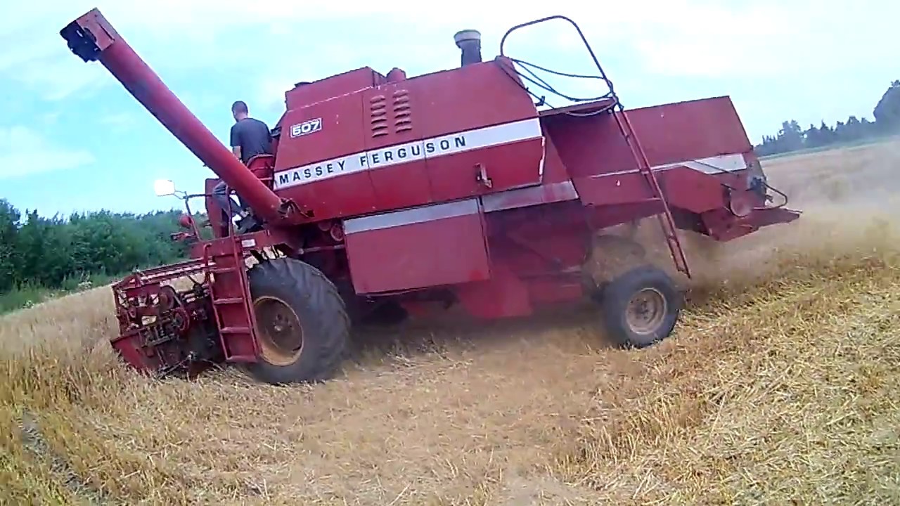 żniwa jęczmienne 2018 massey ferguson 507