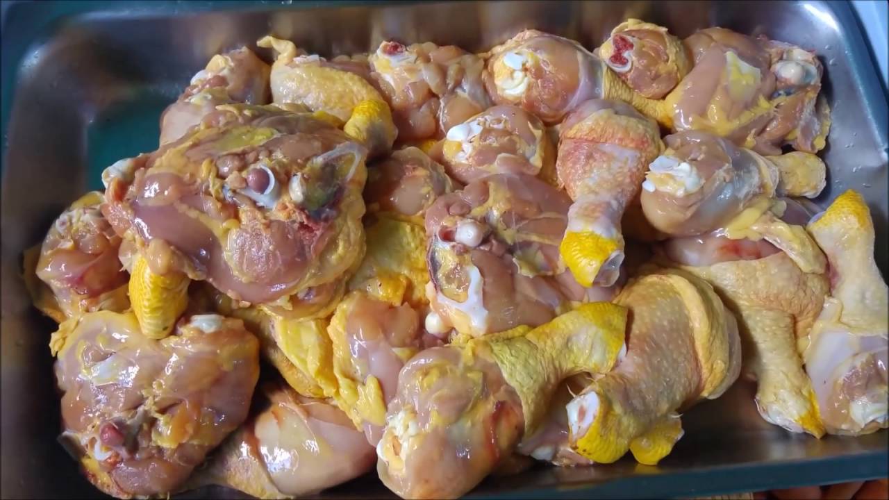 natural dog mexico comida natural en #CDMX
