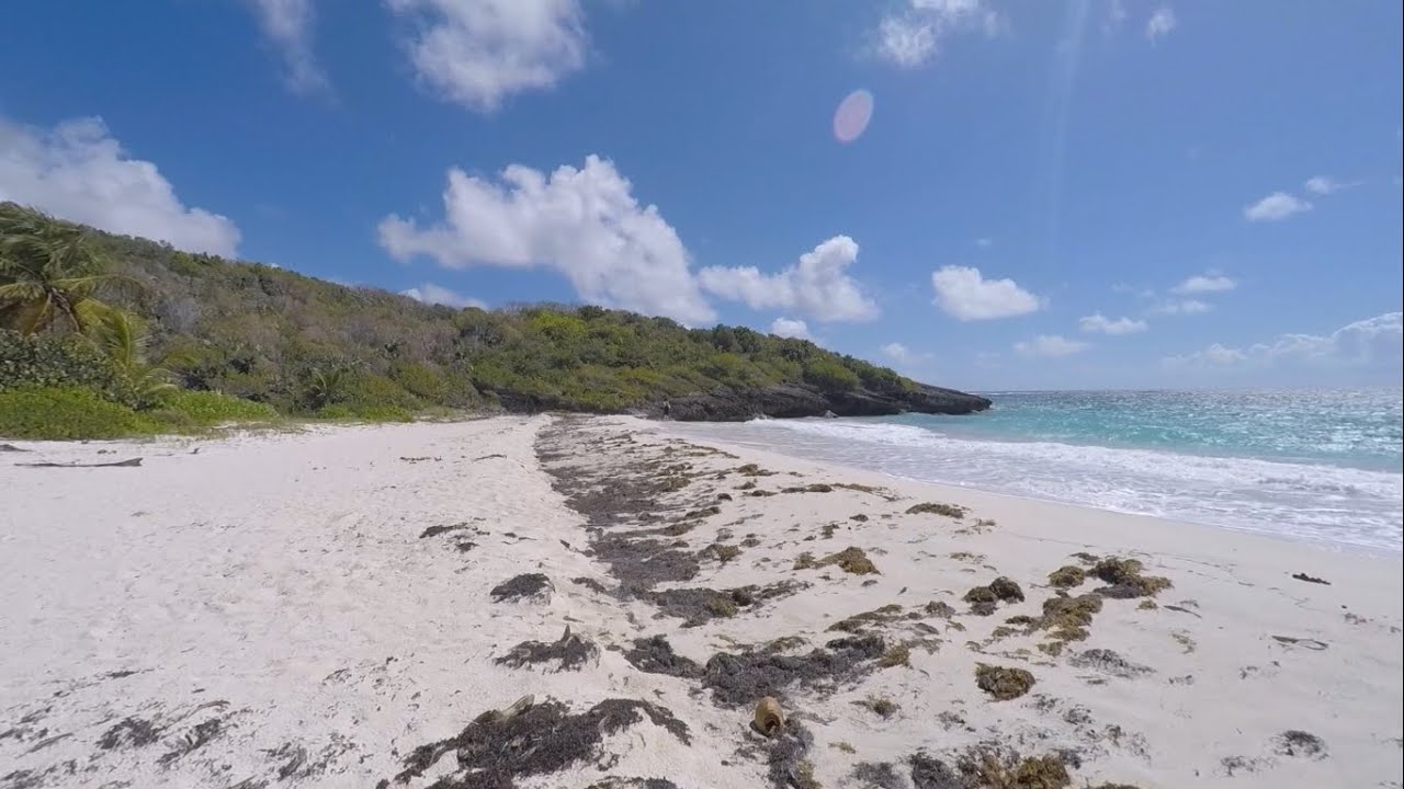 Swimming and Snorkeling In Vieques, Puerto Rico