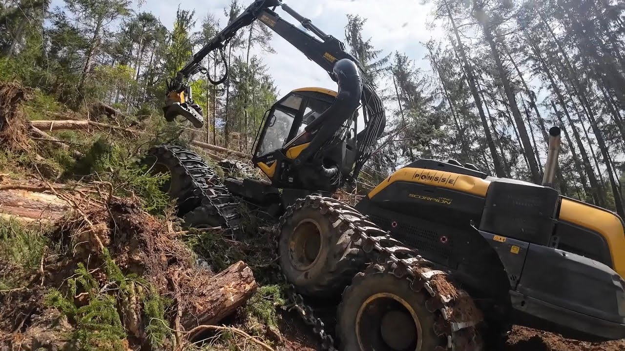 MS 500i & Ponsse Scorpion KING - Windwurf - what else