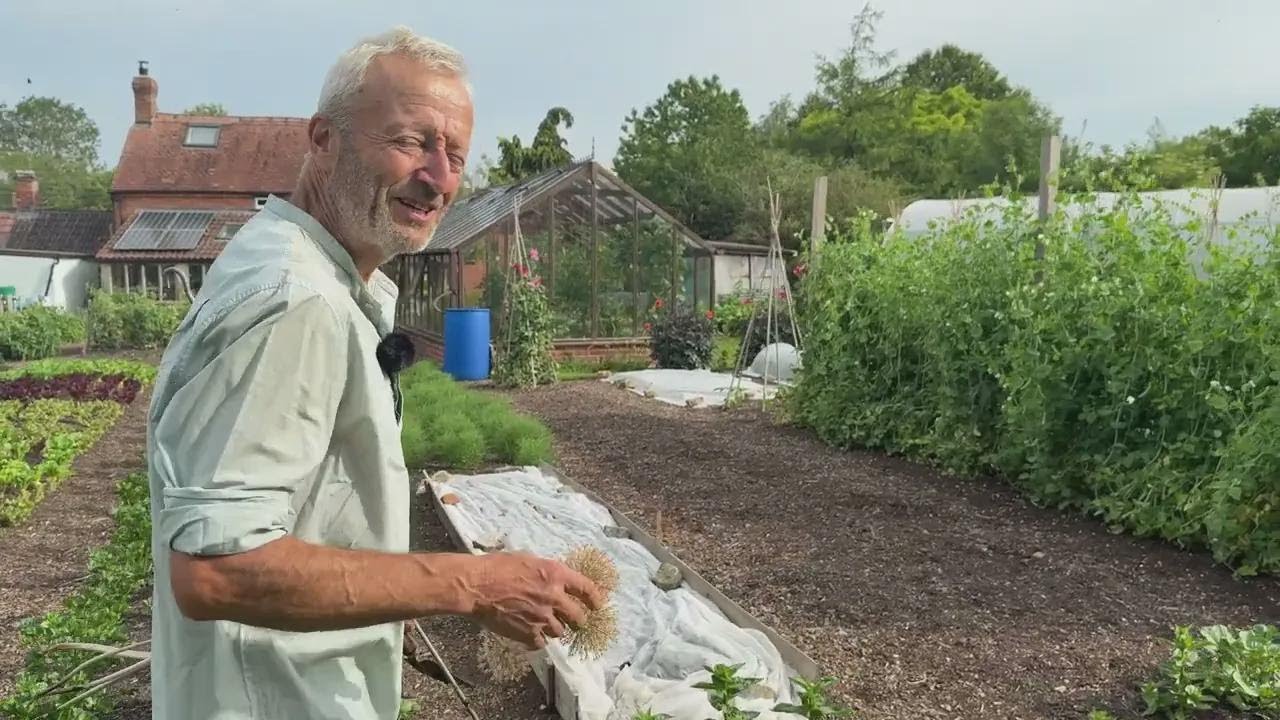 4 sposoby na kompostowanie: zamień odpady w żyzny kompost i mieszankę doniczkową bez przekopywania!