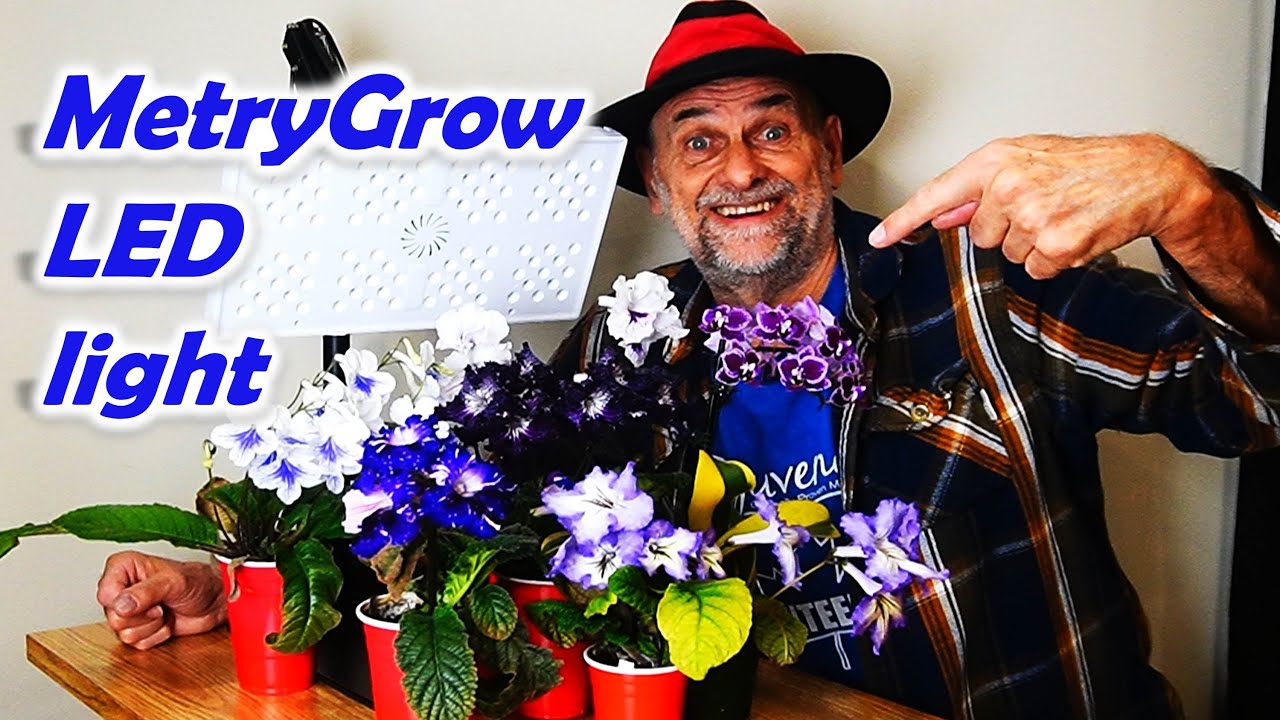 New LED Grow Lights From MetryGrow - Review of 60W and 100W lights