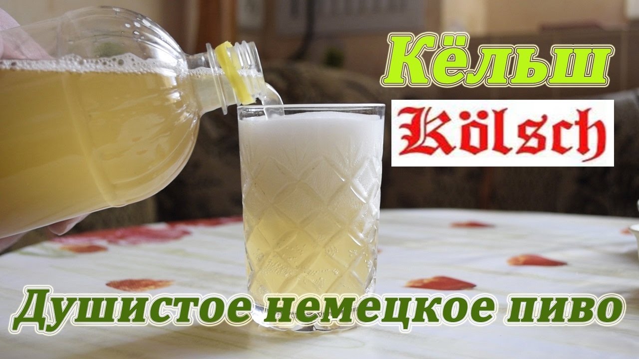 Кёльш.  Душистое немецкое пиво.   Kölsch