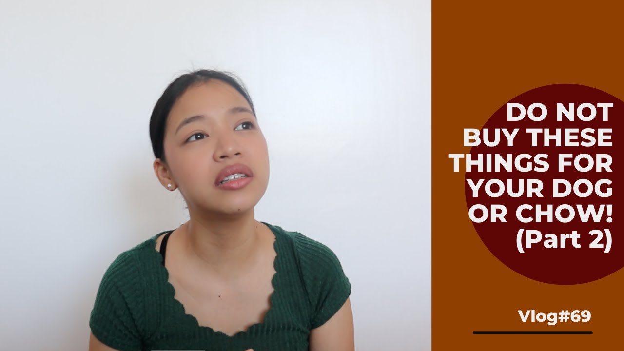 DO NOT BUY THESE THINGS FOR YOUR CHOW-CHOW or DOGS (Part 2) Vlog#69