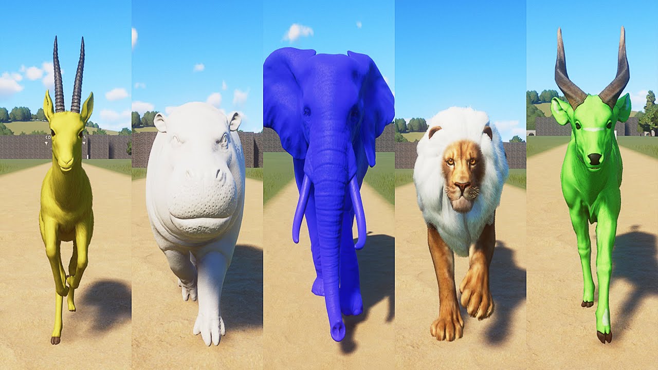 Colored Animals Speed Races in Planet Zoo included Elephant, Hippo, Lion, Bongo, Gazelle
