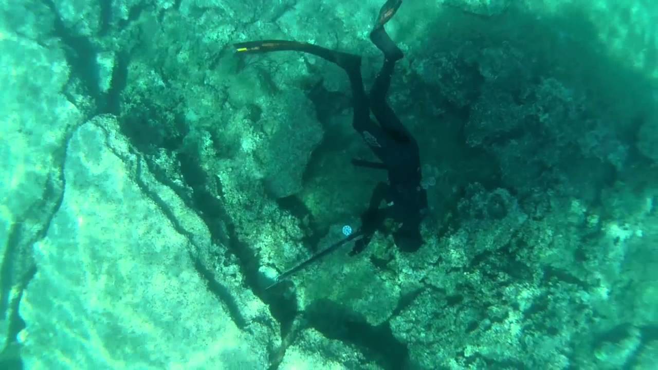 20 pound Grouper - 9 κιλα ροφος - Καρδαμυλι / Kardamyli Greece