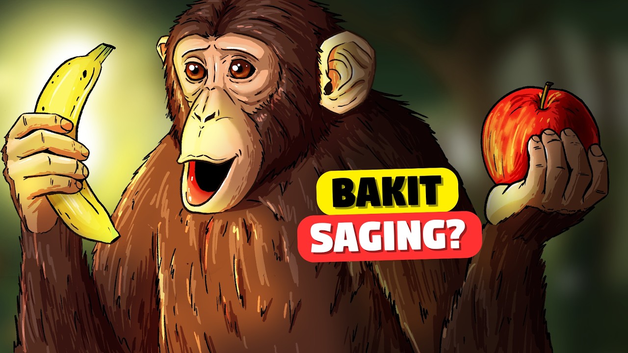 Saging ba Talaga ang Paborito ng mga Unggoy?
