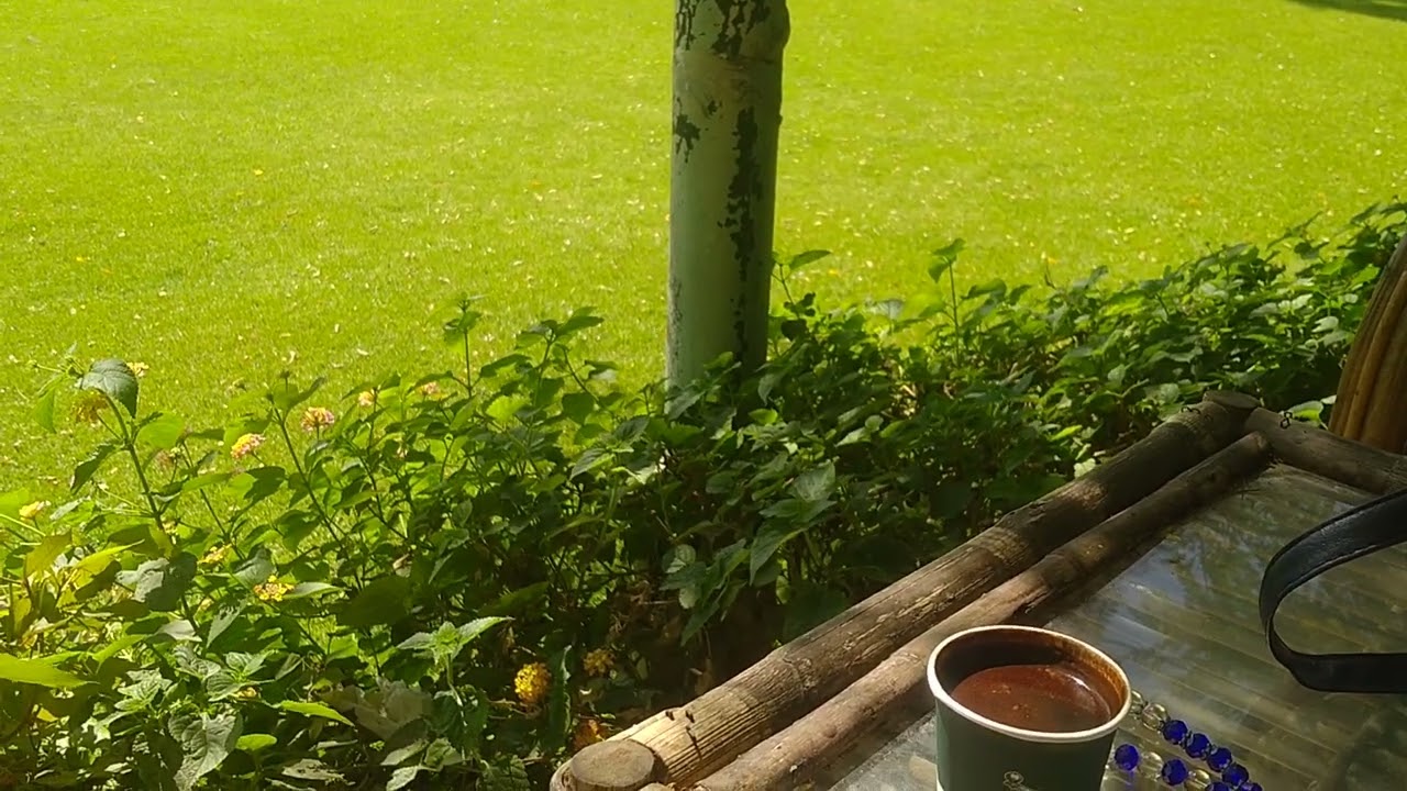 لو حابه تكوني شخصيه قويه💪👍❤️❤️ في 9خطوات 