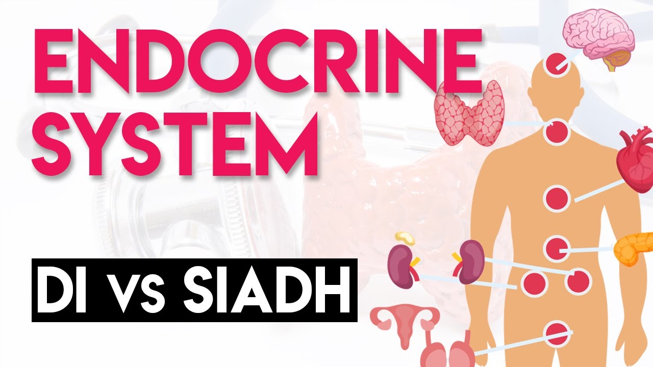 DI vs SIADH | Układ hormonalny (część 5)
