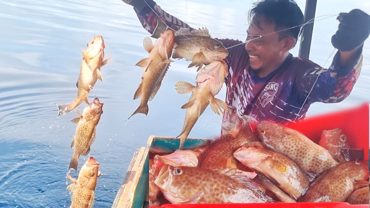 SPOT TERGACOR AUTO NYERAH NARIK, IKANNYA MAKAN SAMPAI SORE
