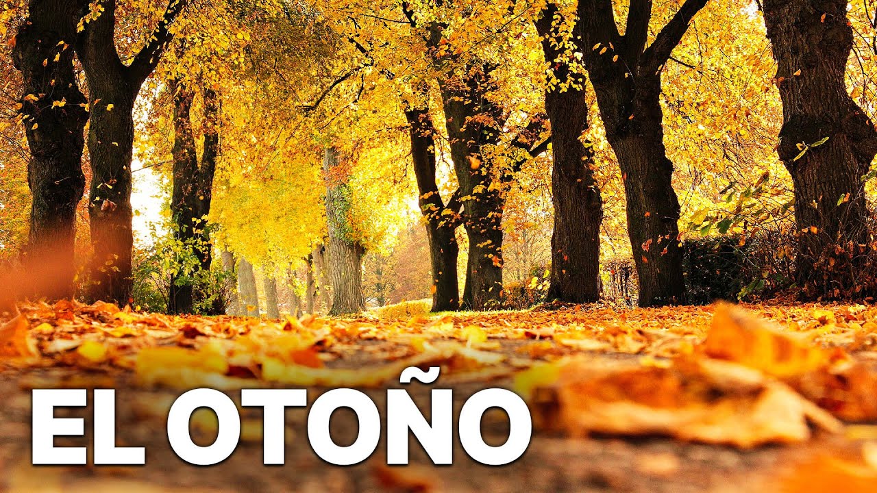 El Otoño - Un Mundo de Colores | Documental sobre la naturaleza