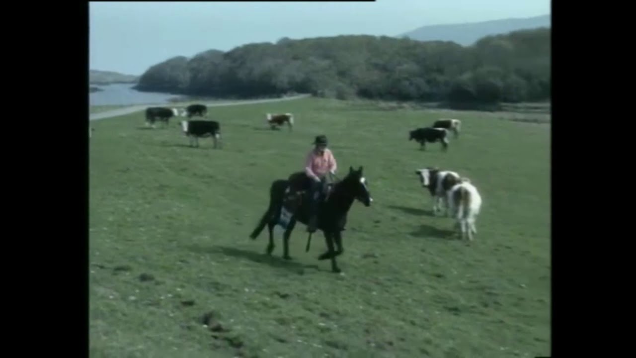 From Cork to Donegal by Horse, Ireland 1997
