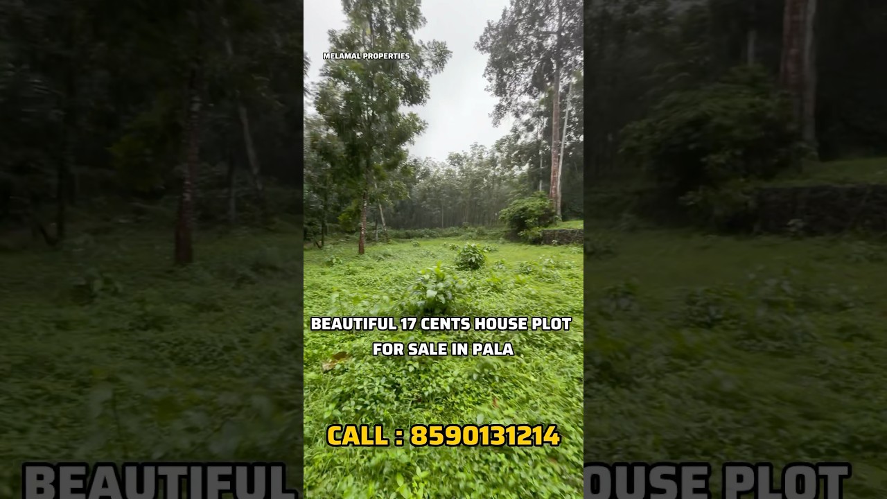 17 Cents House Plot For Sale In Pala