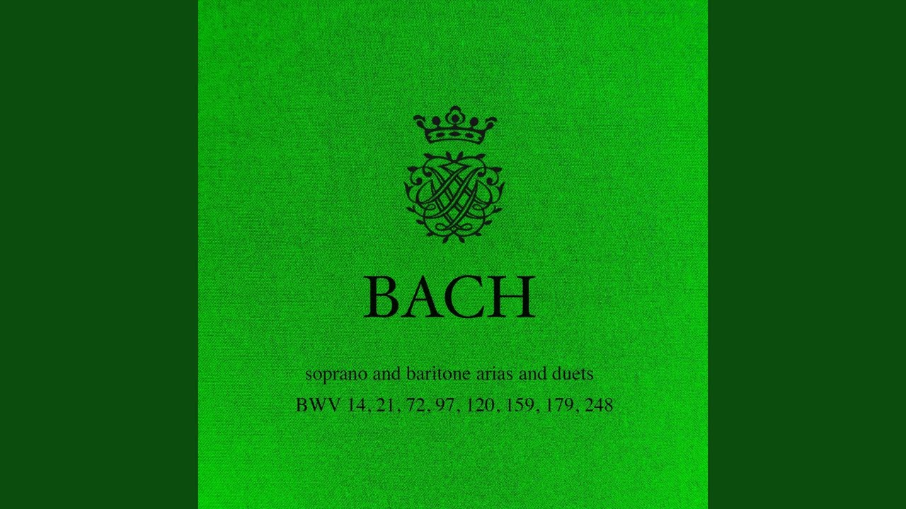 In allen meinen Taten, BWV 97: VII. Hat er es denn beschlossen