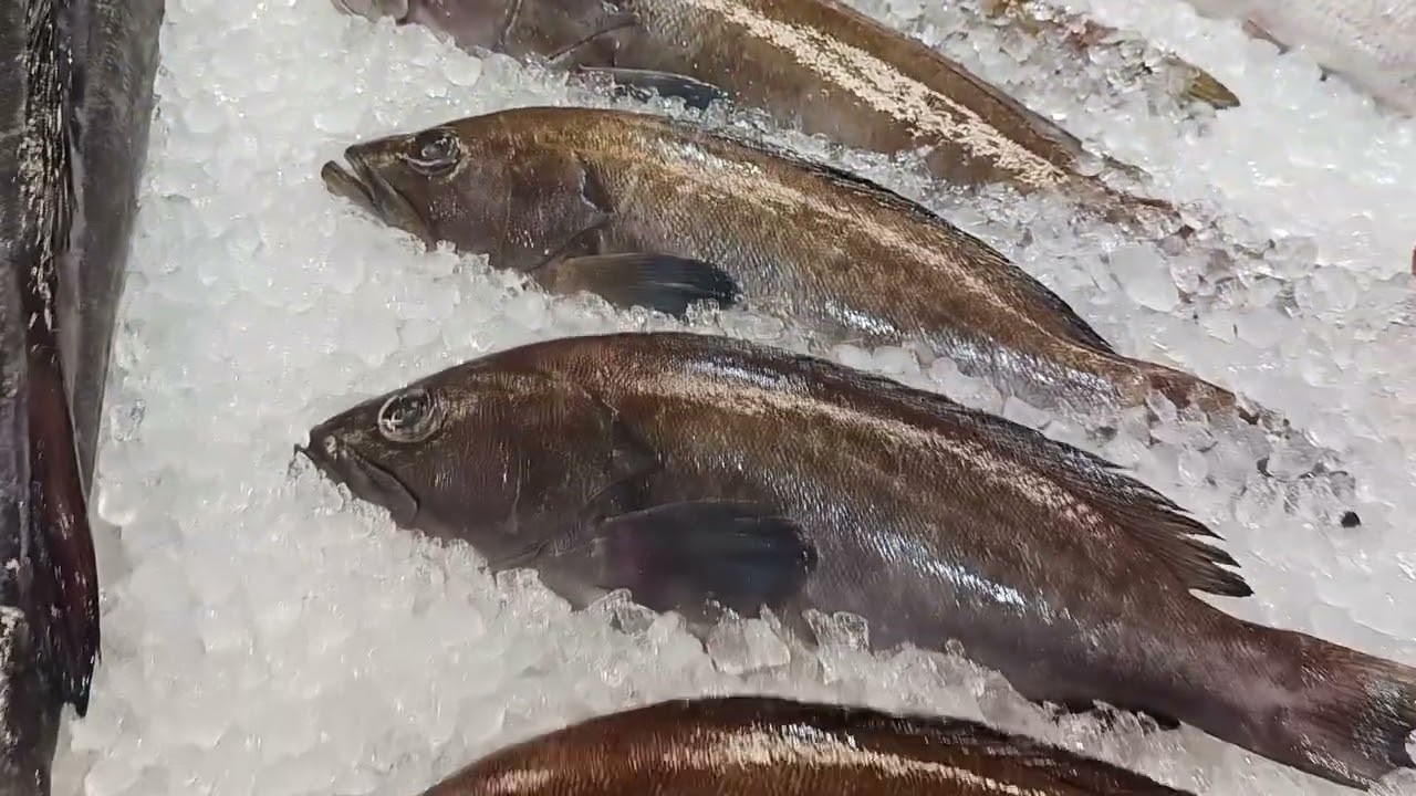 Santa Cruz Fish Market Tenerife  Assortment and prices| Рыбный рынок Санта-Крус Тенерифе ассортимент
