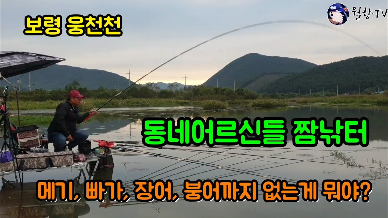 #붕어낚시