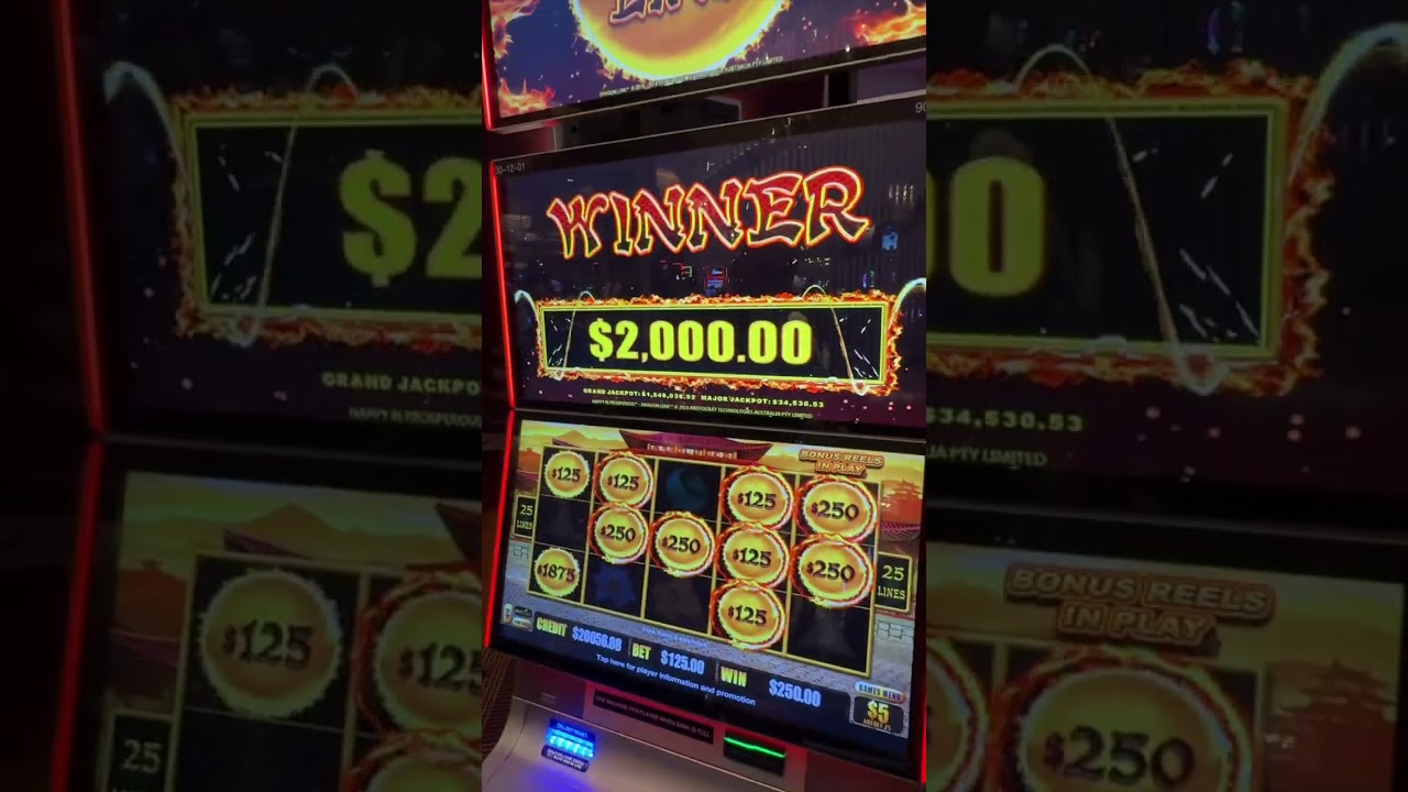 $125 Bet on Dragon Link! 