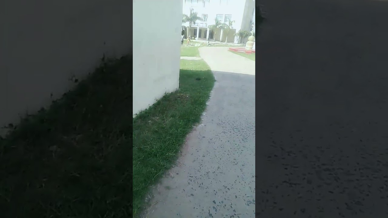 बिहार विद्यापीठ , पटना  