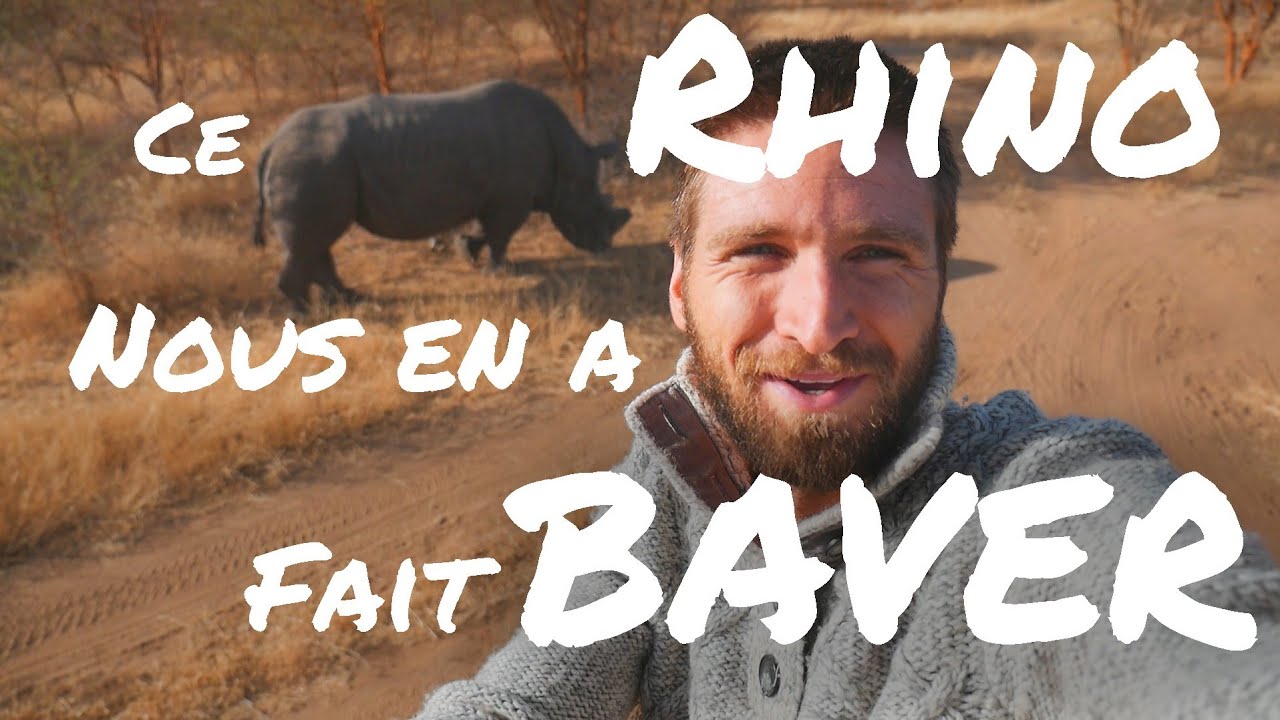 #27 DIFFICILE D'APPERCEVOIR CE RHINO