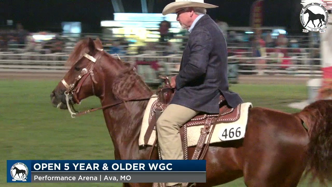 MFTHBA Championship, Open 5 Year Old and Older WGC
