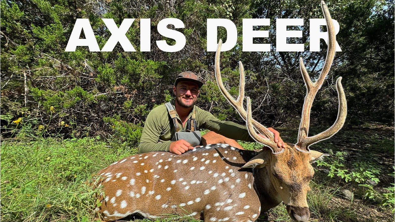 HUNTING AXIS DEER In Texas Hill Country {Catch Clean Cook} | Mullet Man