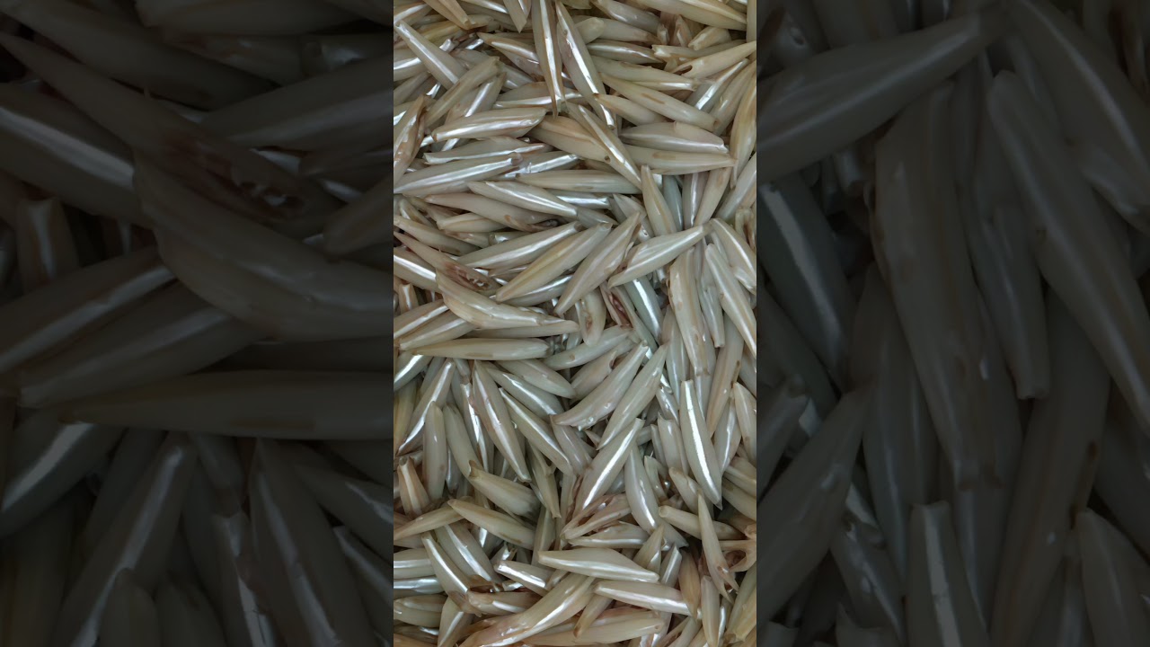 &ldquo;How Nethallu Can Boost Your Heart Health and More!&rdquo;#Nethallu Benefits #Anchovies Health