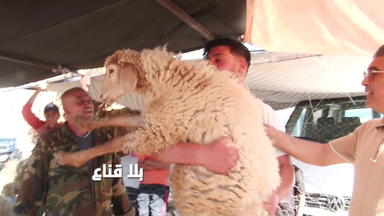 حوار سااخن مع البوزيدي:علوش فلوس بمليون والصردي القطوس بمليون و400.صـ ـدمة من الأسعار والمواطن مفجوع