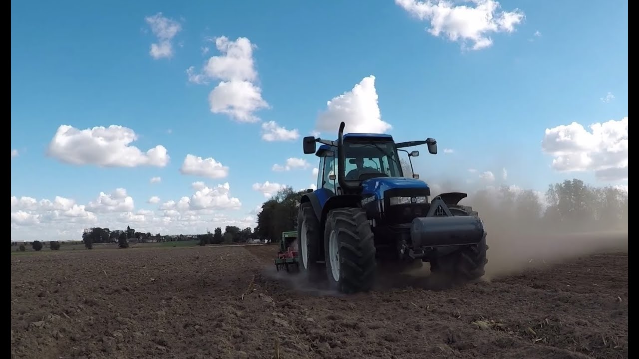 Siew pszenicy i pszenżyta $$ New Holland TM135 $$