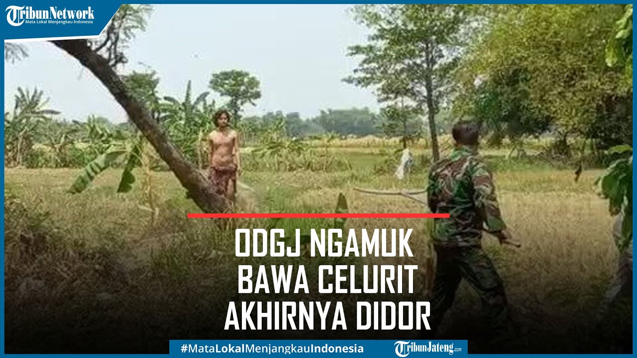 Viral ODGJ Ngamuk Bawa Celurit Bikin Heboh Warga Akhirnya Didor