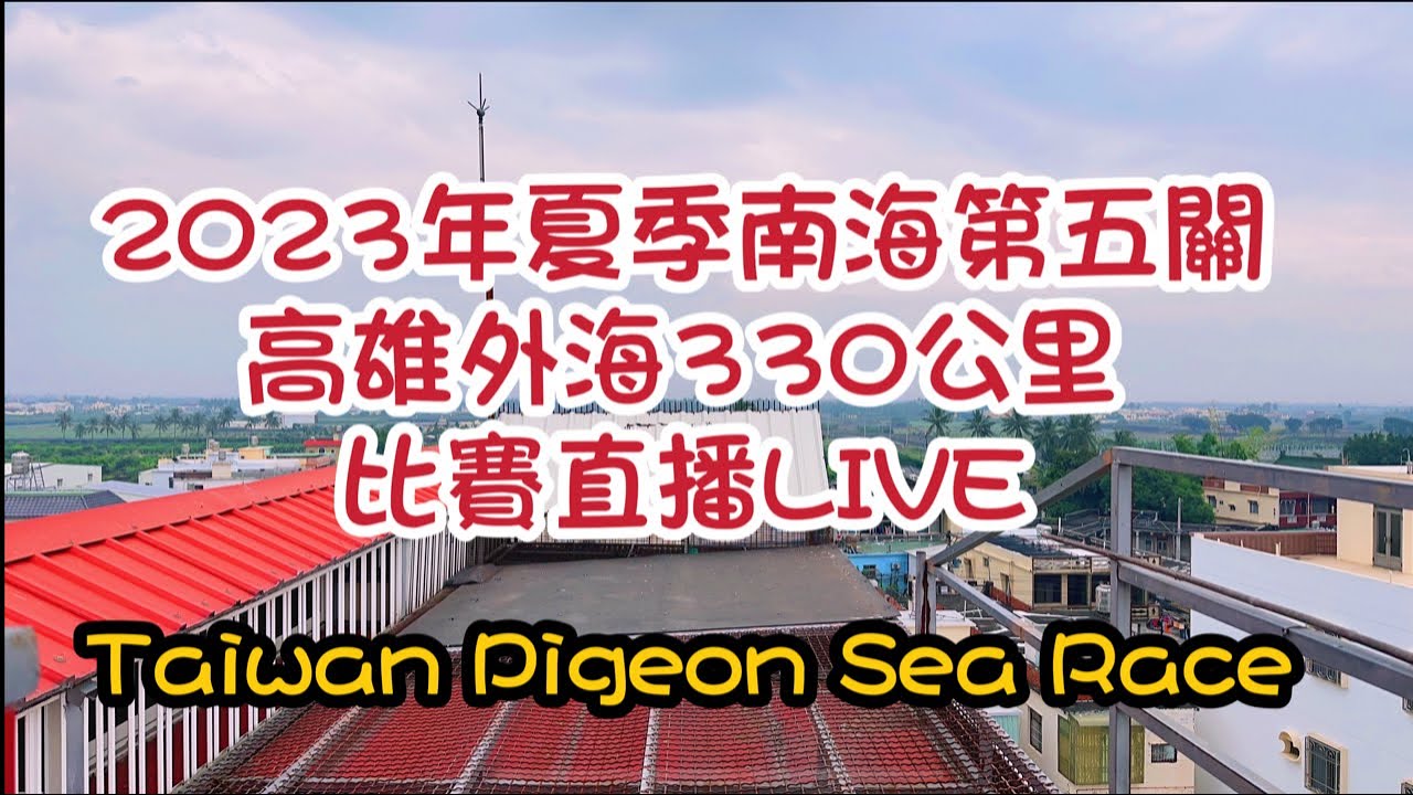 「恆盟賽鴿網」正在直播！南海夏季第五關比賽現場直播#賽鴿 #南海賽鴿 #pigenos #南海夏季#第五關#東南風