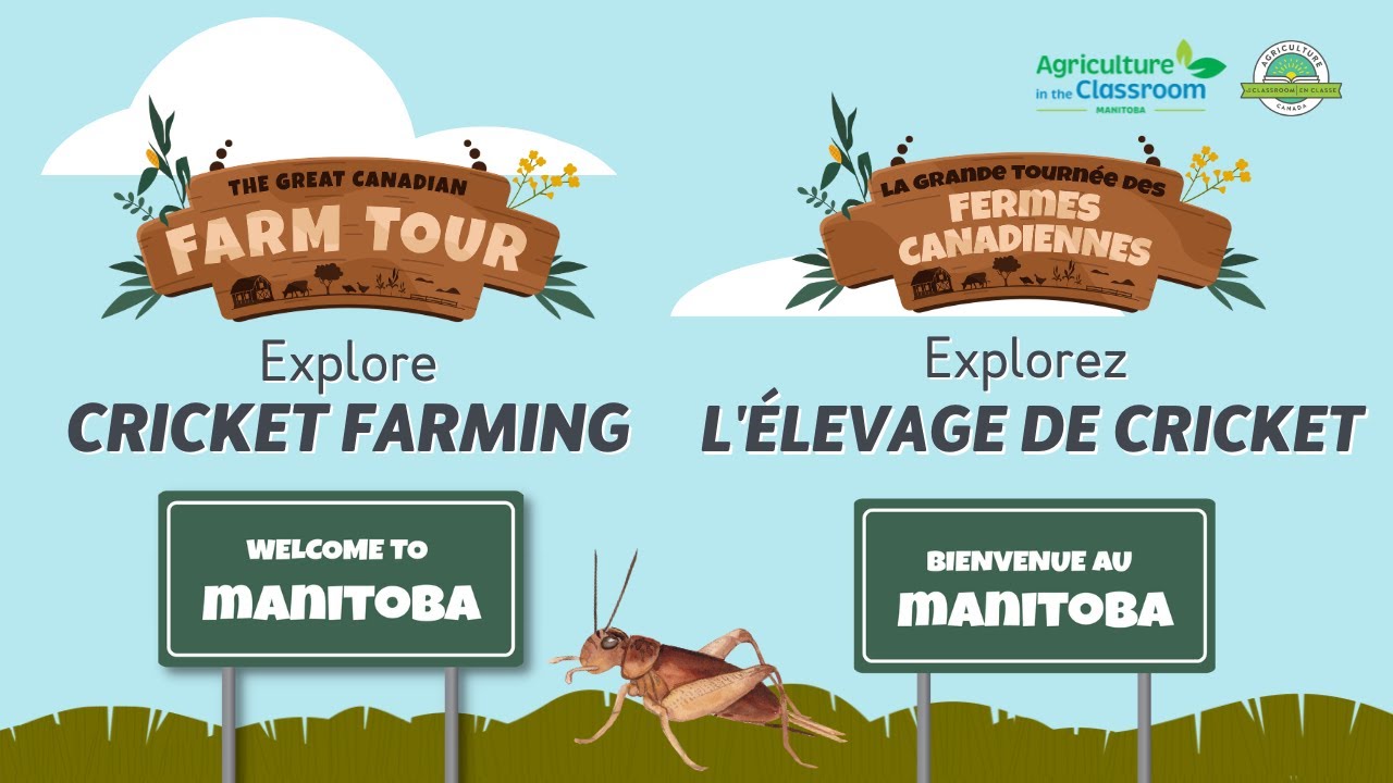 Great Canadian Farm Tour S3: Episode 10 - Cricket Farming in Manitoba with AITC-M