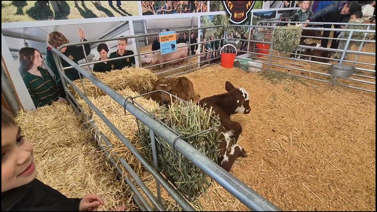 Our Family Royal Adelaide Show 30-08-25 