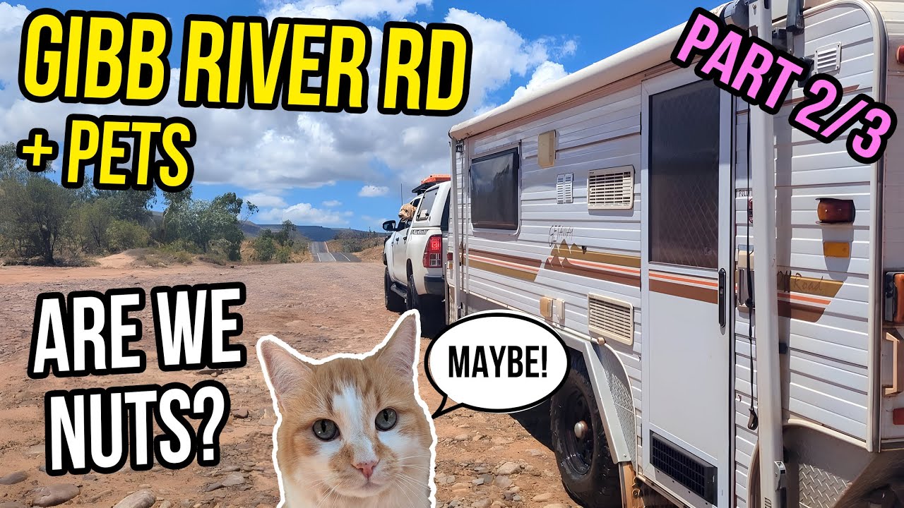 Surviving the Gibb with Pets! Pt2 WILD Off-Grid Kimberley Itinerary-Mt Elizabeth-Home Valley Station
