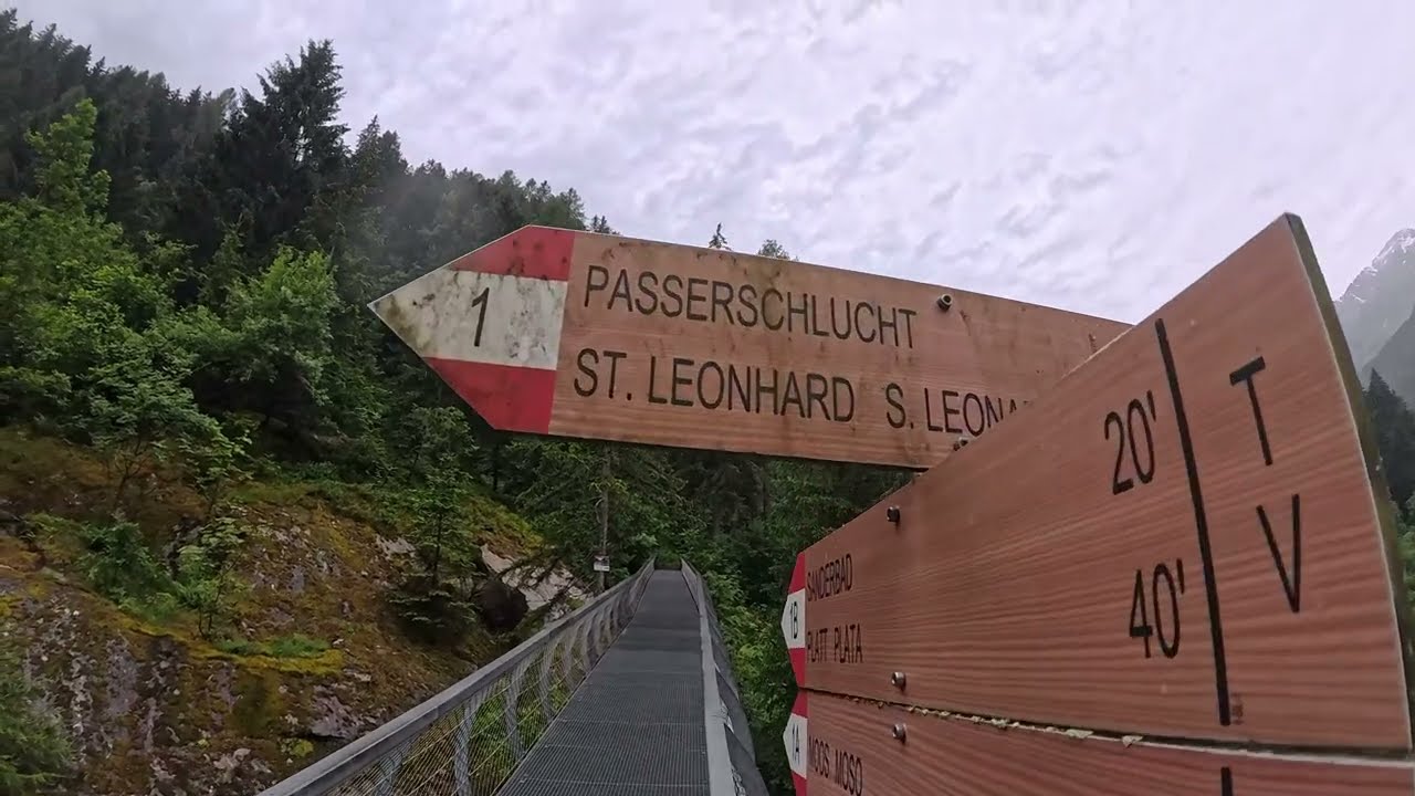 Teil IV  Moos  - Coredo