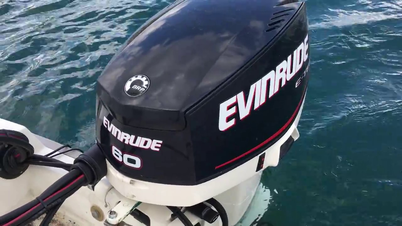 NEW 2017 Evinrude 60HP Etec with 17 Pitch Propeller with Cobra 495 Boat