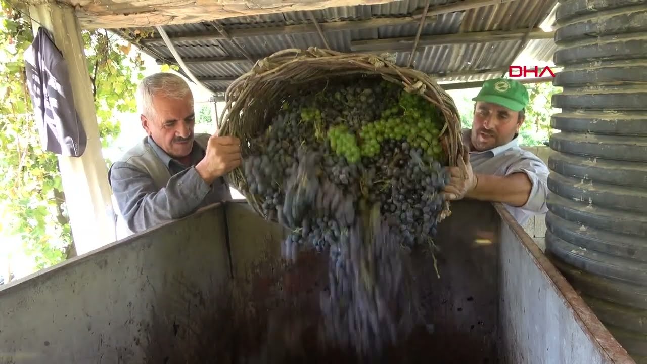 Hizan’da 150 yıllık pekmez geleneği ediyor
