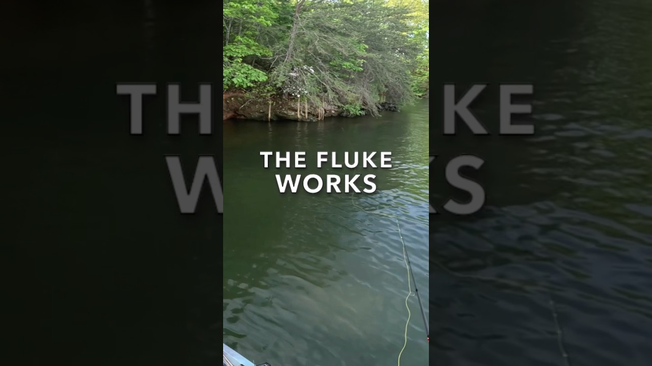 #bassfishing with the fluke.  It works!
