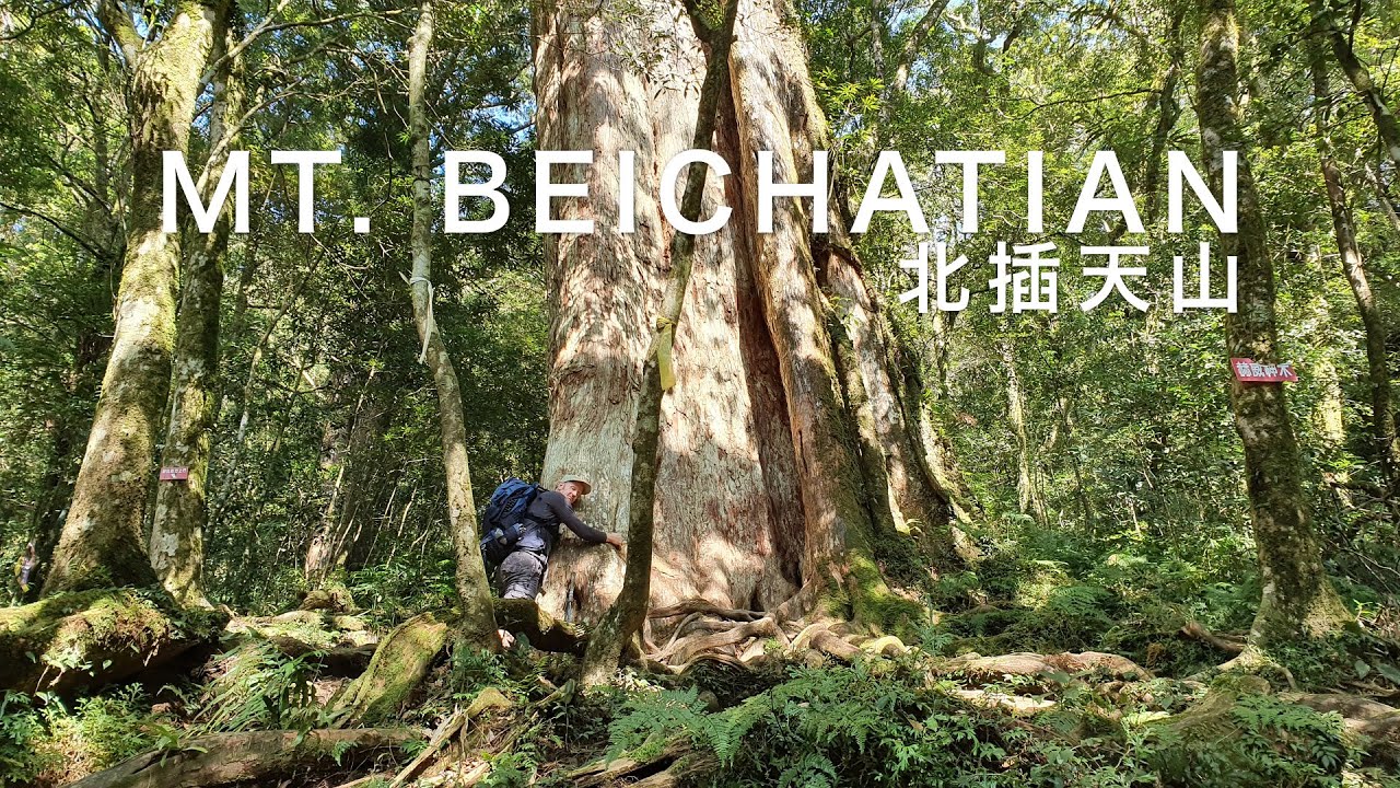 HIKING TAIWAN: 2,000 YEAR OLD RED CYPRESS TREES NEAR TAIPEI (北插天山, 赫威神木) 有中文CC！