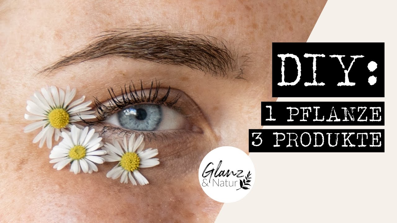 DIY: Wie man aus Gänseblümchen 3 Produkte herstellt | Glanz&Natur