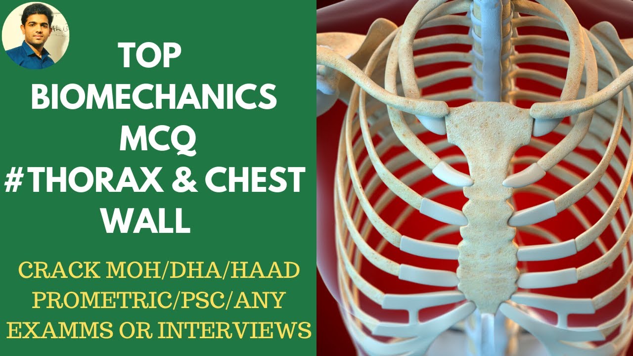 MOH,DHA ,PROMETRIC,HAAD,PSC EXAMS Biomechanics  MCQ questions( Thorax and chest wall)