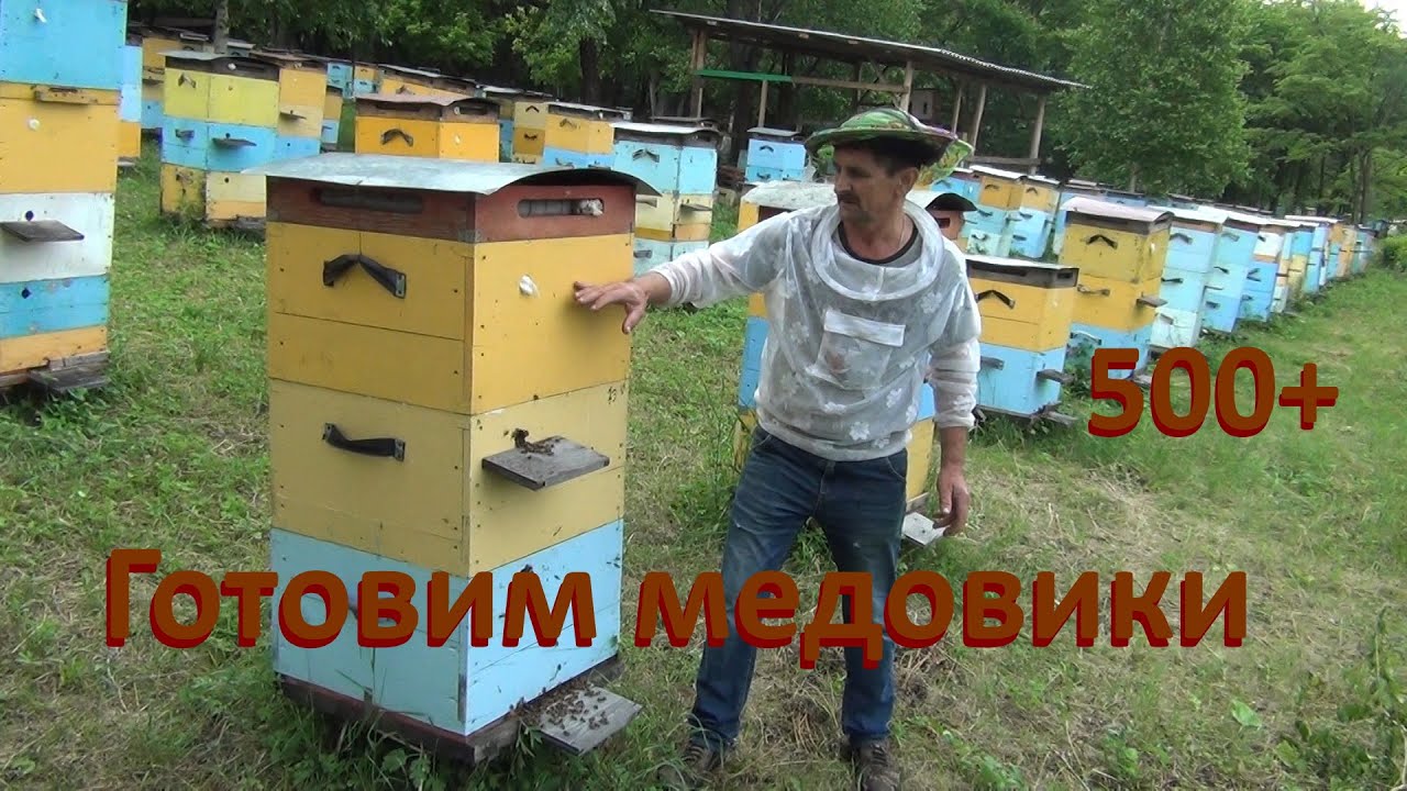 500+ Объединяем пчёл. Делаем медовики.