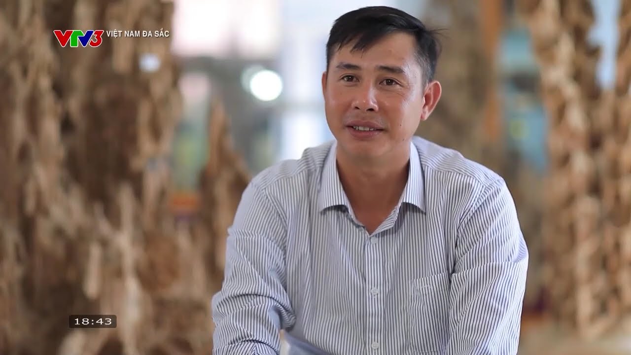 H&agrave;nh tr&igrave;nh đi t&igrave;m trầm hương - tinh hoa của n&uacute;i rừng | Việt Nam đa sắc | VTV Times