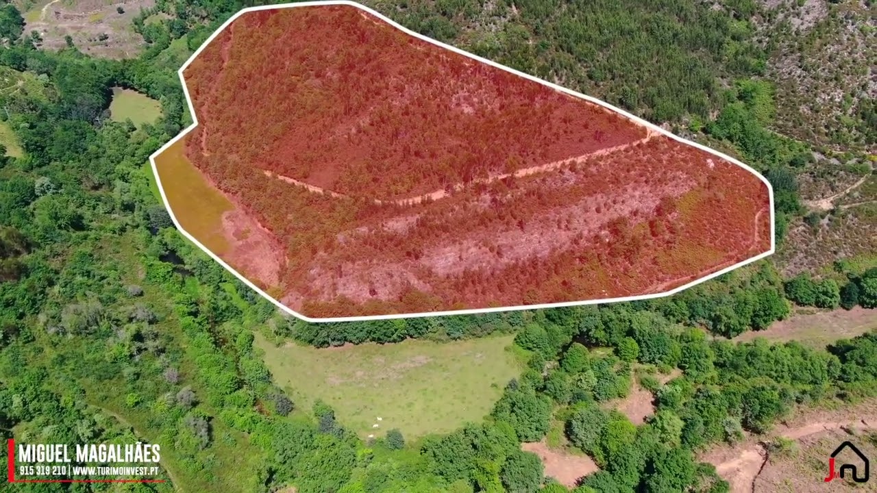 Terreno com ruína - Abadim, Cabeceiras de Basto