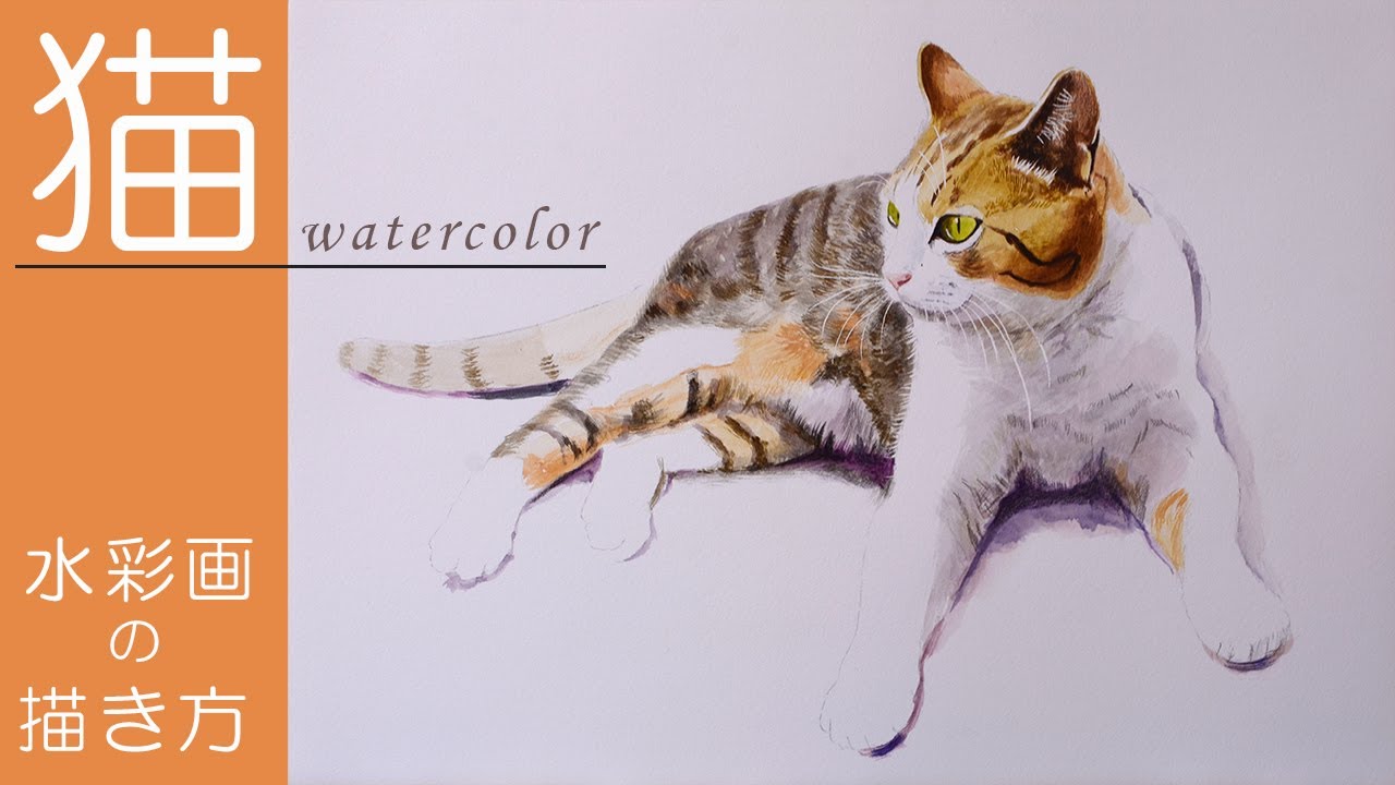 【水彩画】マスキングを用いた猫のスケッチ「透明水彩、色鉛筆」