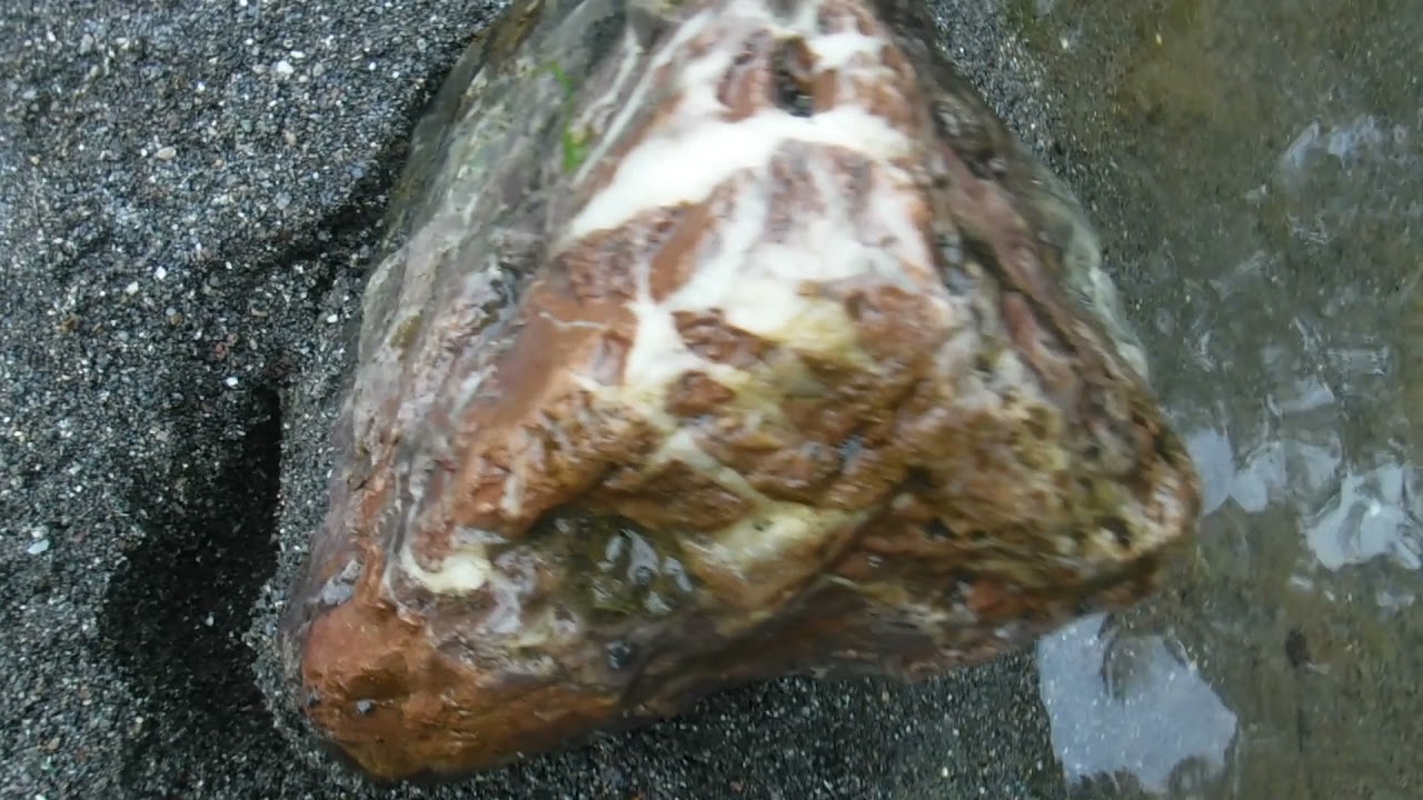 Rockhounding The Skokomish River For Colorful Jasper
