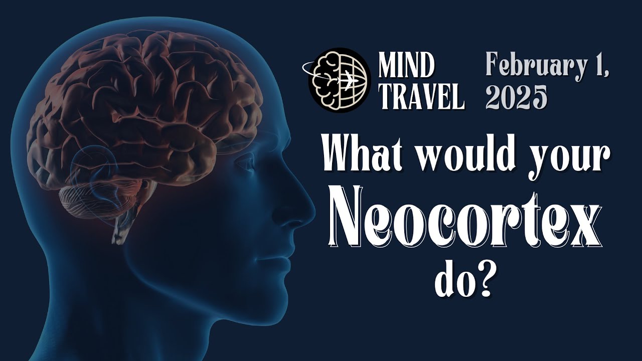 What would your neocortex do?
