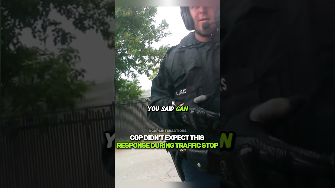 Cop Didn't Expected This Response During Traffic Stop
