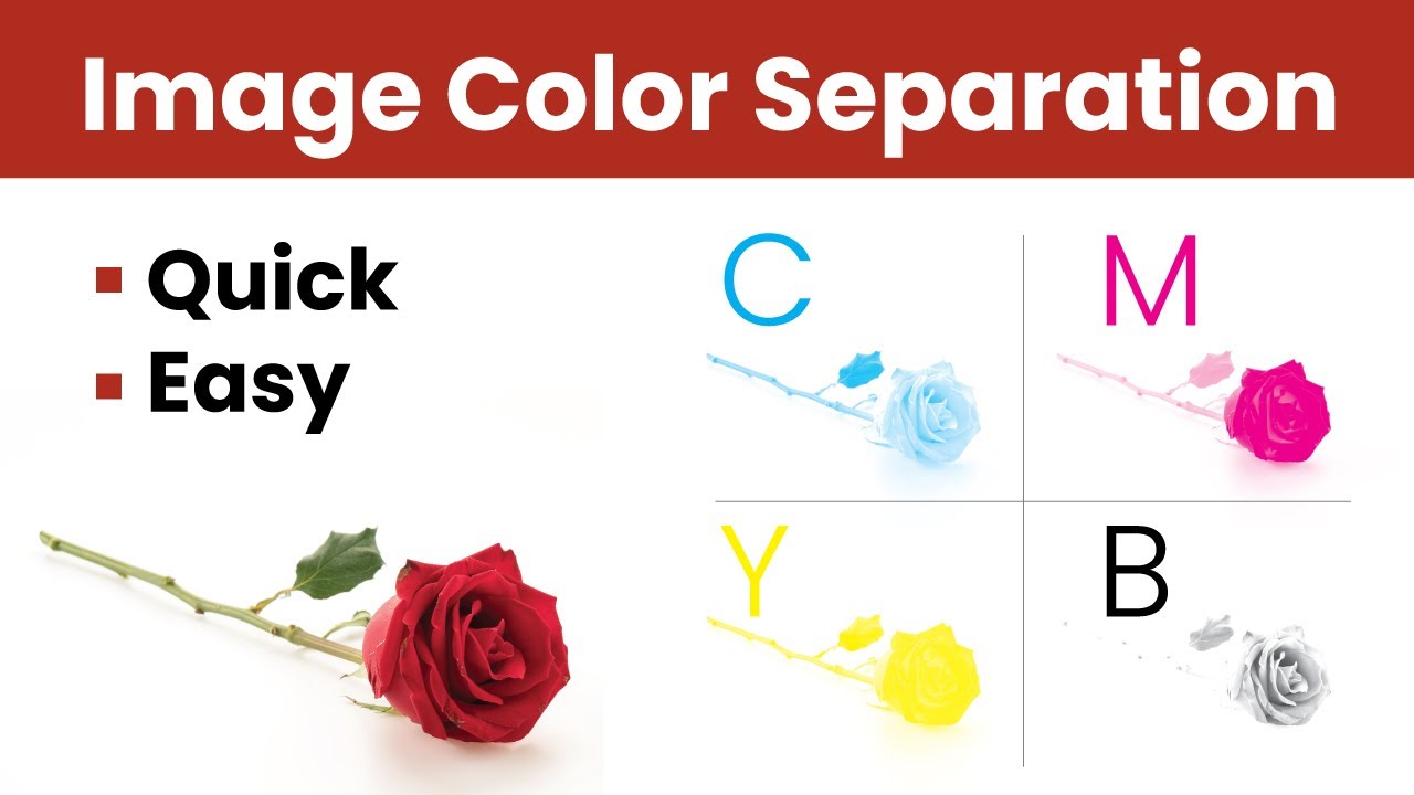 photo color separation in illustrator